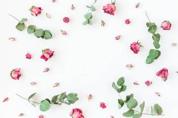 istock Dried rose flowers and eucalyptus branches. Flat lay, top view 664928542