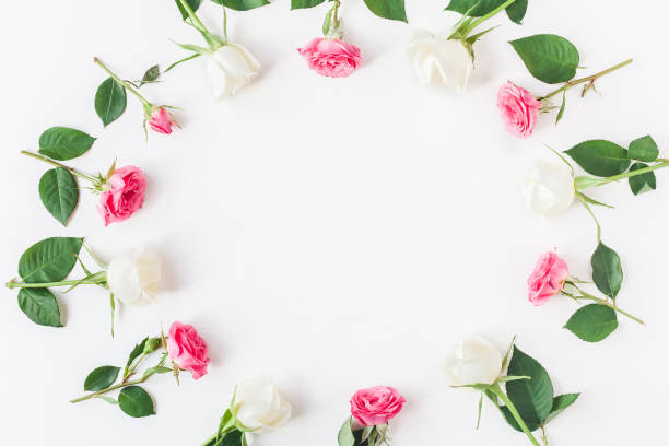 istock Frame made of fresh rose flowers. Flat lay, top view 664928770