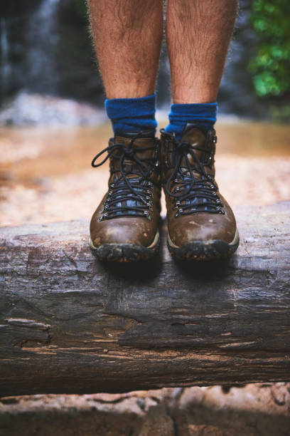 istock Go where your hiking boots take you 664928780