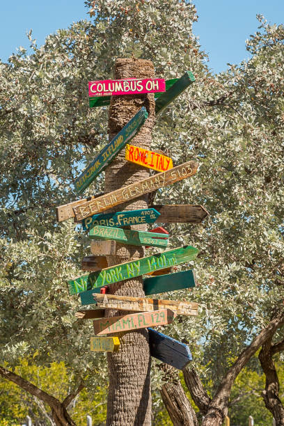 istock Tree With Signs in Bahia Honda State Park 664929750