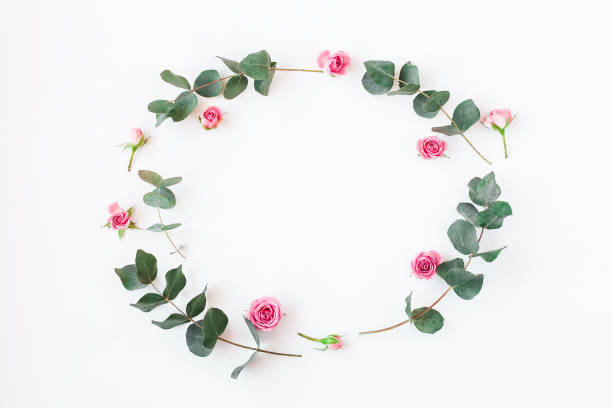 istock Frame with rose flowers and eucalyptus branches. Flat lay 664931398