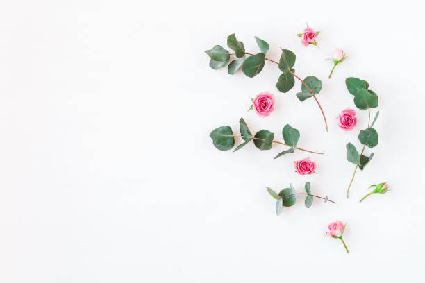 istock Rose flowers and eucalyptus branches. Flat lay, top view 664931476