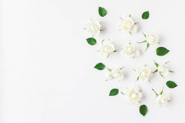 istock Frame made of white rose flowers. Flat lay, top view 664931546