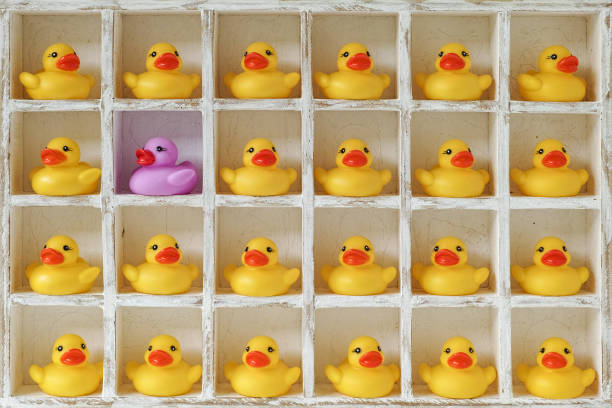 istock Many yellow rubber ducks in pigeon hole compartments with one different purple duck. 664934558