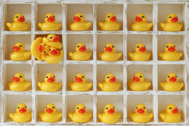 istock Many individual yellow rubber ducks in pigeon hole compartments with one compartment full with three rubber ducks. 664934560