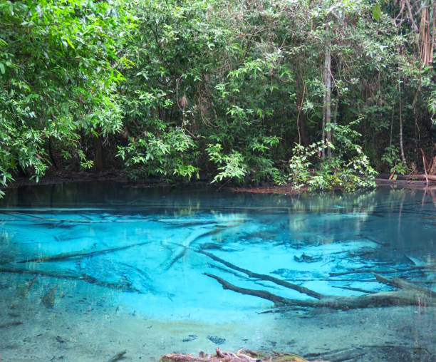 istock amazing blue pool with hot water 664938446