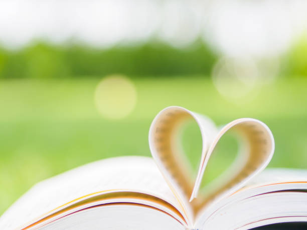istock book on table in garden with top one opened and pages forming heart shape 664946854