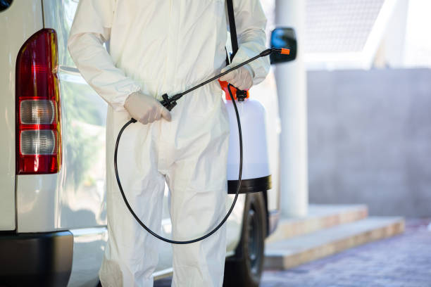 istock Mid section of pest control man standing next to a van 664947622