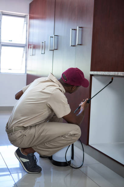 istock Pest control man spraying pesticide 664950584