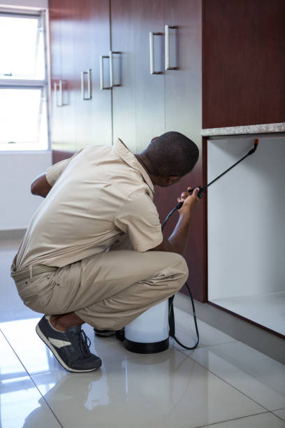 istock Pest control man spraying pesticide 664950780