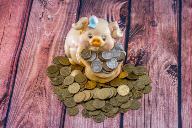 istock Piggy bank with gold coins. saving concept. 664953756