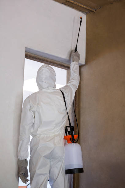 istock Rear view of a man doing pest control 664959590