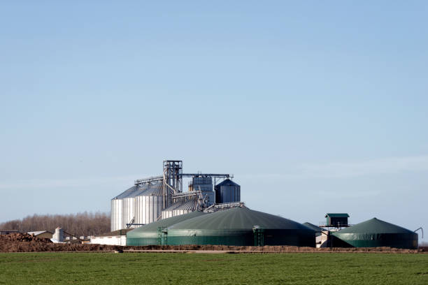 istock Behind the field visible farm with dry food storage. 664962130
