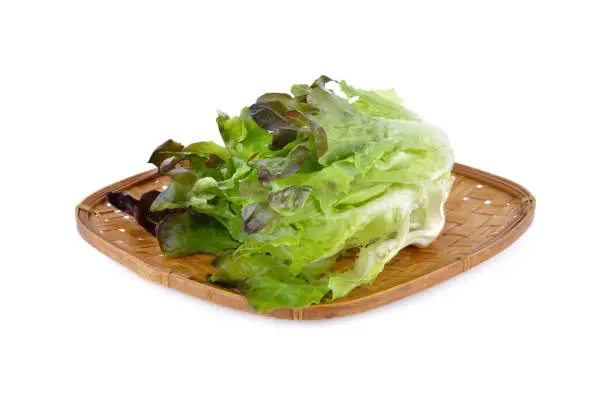 fresh lettuce or red oakleaf in bamboo basket and on white background