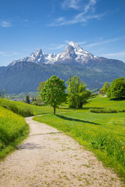 idyllische landschaft in den alpen mit wandern wanderweg und grüne wiesen im sommer - bayerische alpen stock-fotos und bilder