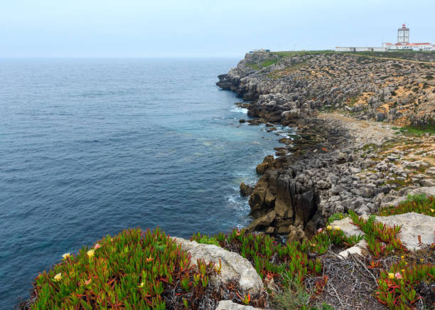 istock Lighthouse of Cape Carvoeiro (Peniche, Portugal). 664968872