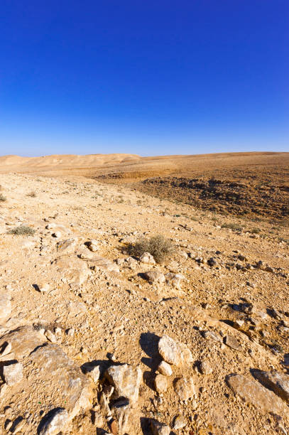 istock Stone Desert in Israel 664980240