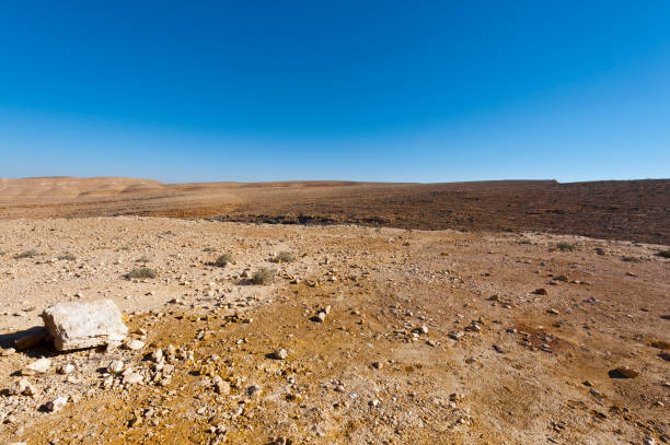 istock Stone Desert in Israel 664980254