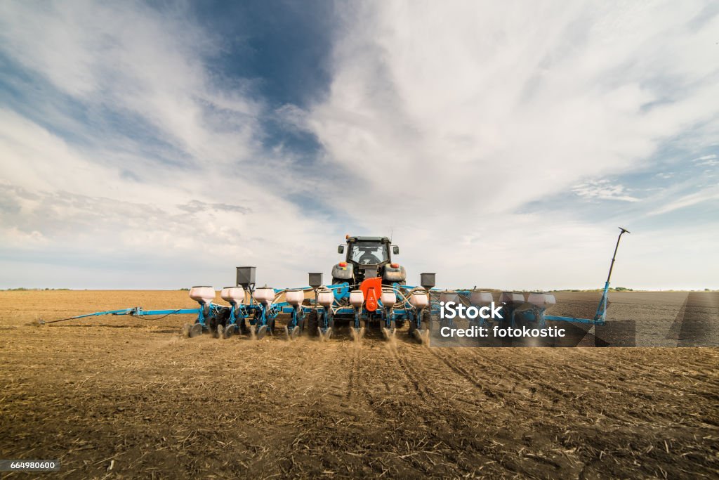 Coltivazioni di sementi agricole sul campo - Foto stock royalty-free di Piantare