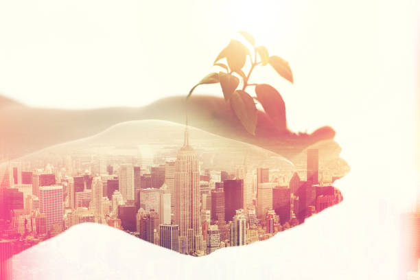 istock Nurturing her business in the big city 664982932