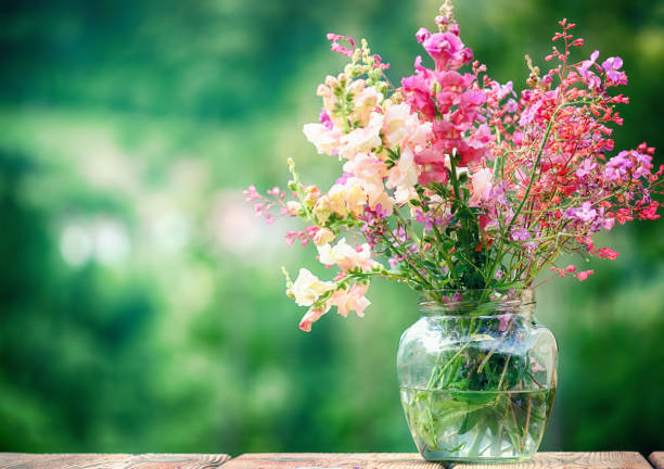 wildflowers in a glass vase over green background - fresh cut flowers imagens e fotografias de stock