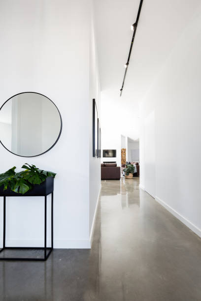 Contemporary new home entry and hallway