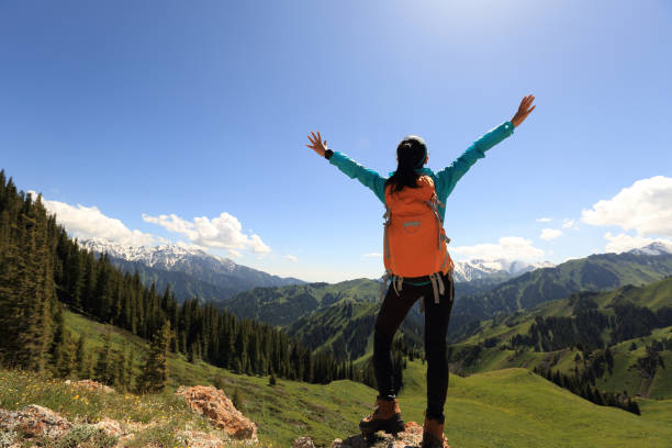 istock cheering young woman backpacker hiking on forest mountain peak 664991010