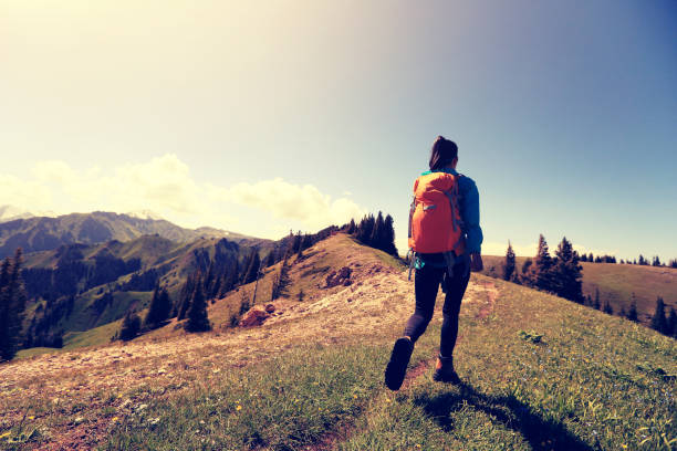 istock young woman backpacker hiking on forest mountain peak 664991046