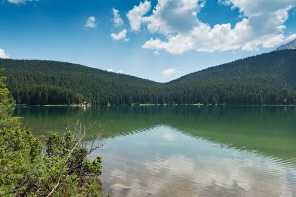istock Black Lake in Durmitor national park, Montenegro 664997990