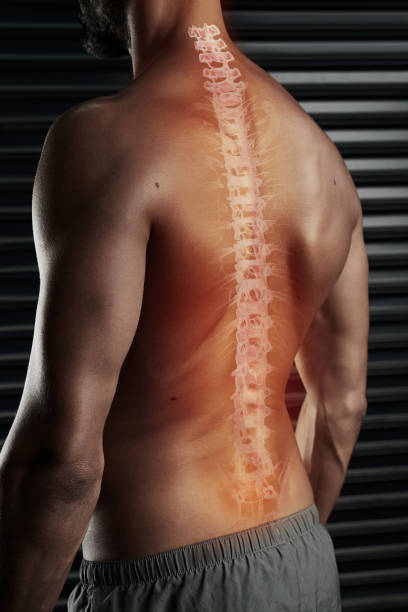 istock Always take care of your spine 664999110