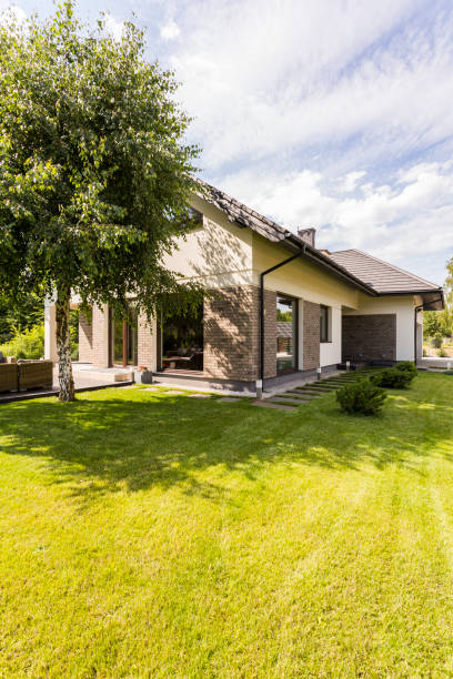 istock Big house in the suburbs 665002470