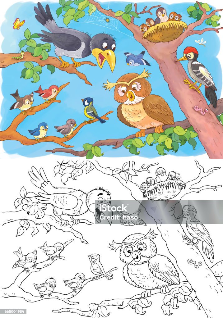 At The Zoo Cute Woodland Animals Owl Crow Sparrow Woodpecker Illustration  For Children Coloring Page Funny Cartoon Characters Stock Illustration -  Download Image Now - iStock