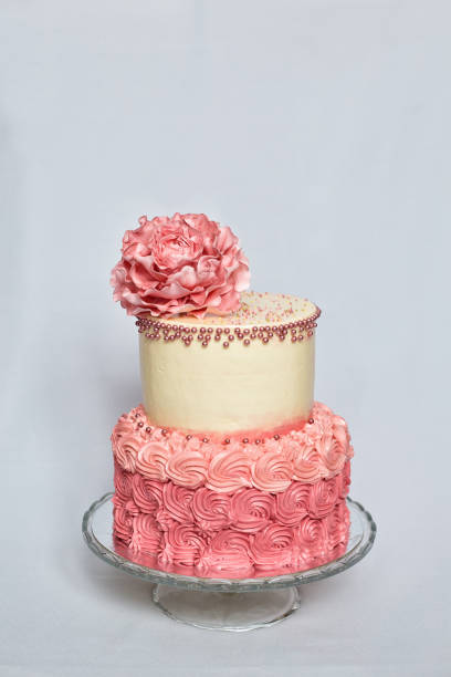 istock Two layered pink and cream birthday cake 665008528