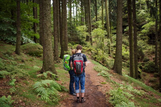 istock Backpacker in Saxon Switzerland, Germany, Europe 665012920