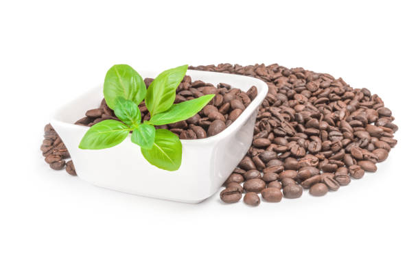 istock Brazilian coffee isolated on a white background cutout 665012952
