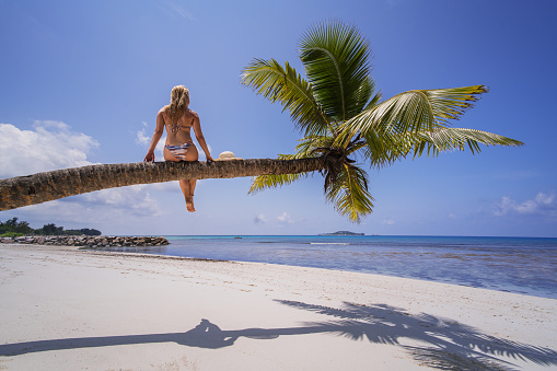 Back view of a woman sitting high up on a palm tree and spending her summer day on the beach.