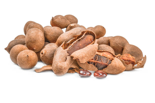 istock Tamarind isolated over a white background 665013554