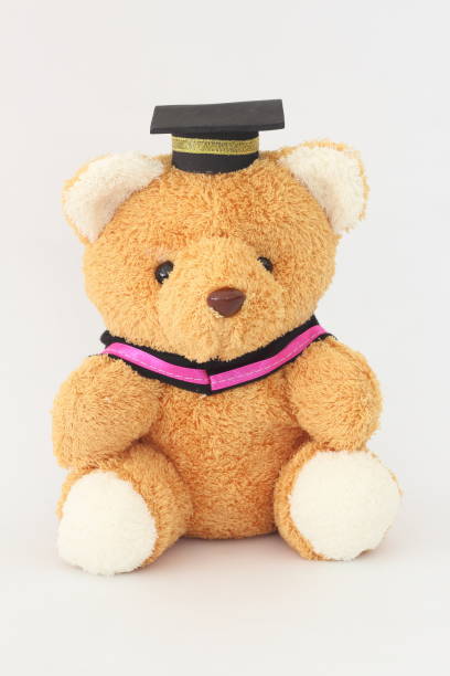 istock Brown bear wearing a graduation cap on a white background. 665013846