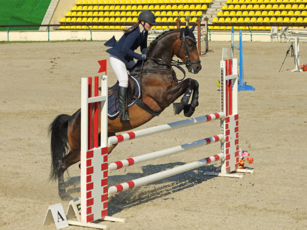 istock Young woman and her horse jumping obstacle 665019614
