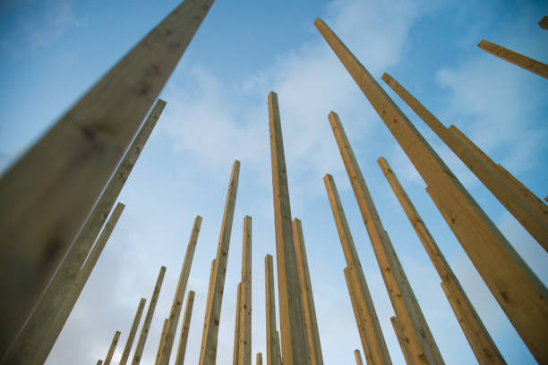 istock Wooden beams against the sky 665020360