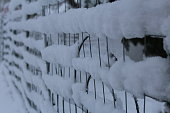 schnee.jpg?b=1&s=170x170&k=20&c=e89fk67O-OiciSmLRqU7KajZCGvVxlYJVdfD0Xd9y2k=
