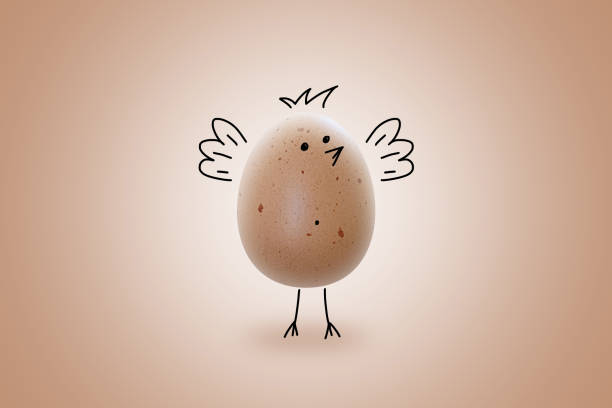 Hand drawn chicken on the real egg and beige background. Isolated, Emoji concept