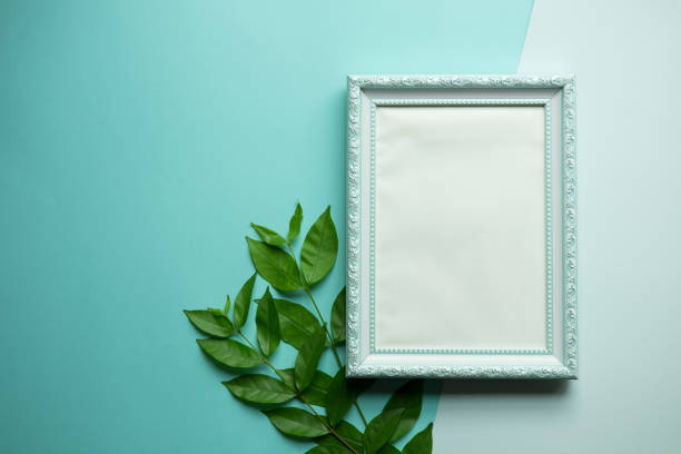 istock Mockup of blank photo frame with green plant on blue background 665028260