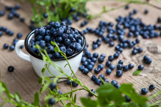 Blueberries stock photo