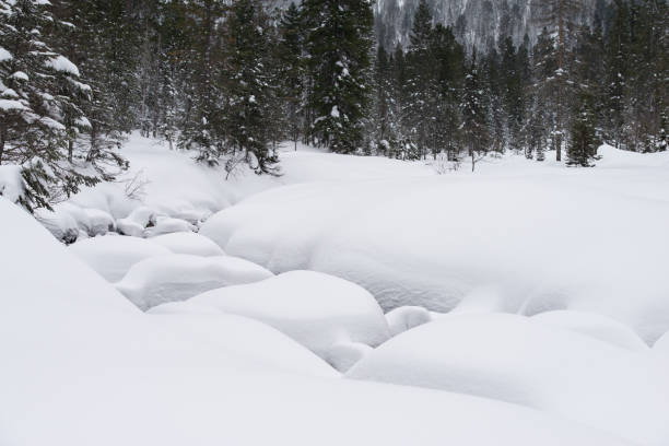 istock Snow-fluffed brook in winter forest. 665032146