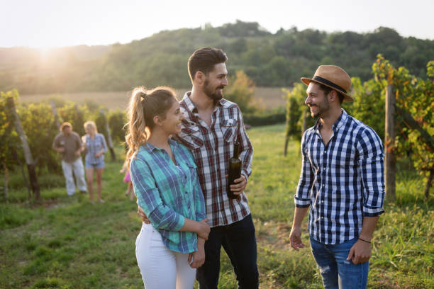 istock Wine grower and people in winery vineyard 665035206