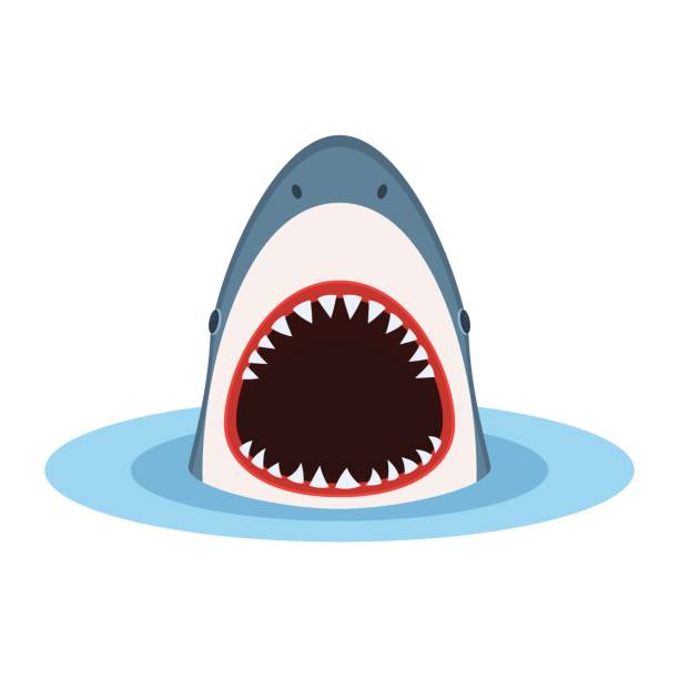 акула с открытым ртом - shark animal blue cartoon stock illustrations