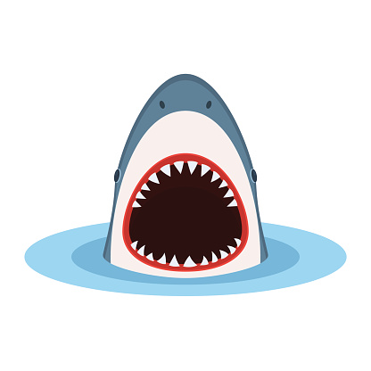Shark With Open Mouth Stock Illustration - Download Image Now - Shark,  Mouth, Vector - iStock