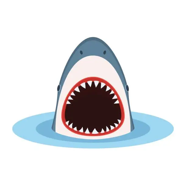 Vector illustration of Shark with open mouth