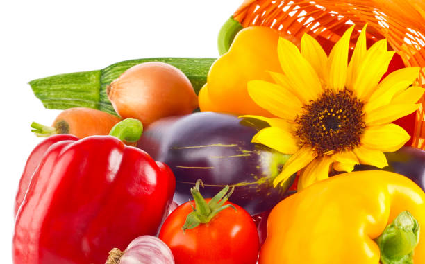 istock Composition of vegetables spices and flower in basket 665042412